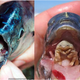 Illustration for article titled Tongue-eating parasites and internet journalism are your worst nightmares in The Bay
